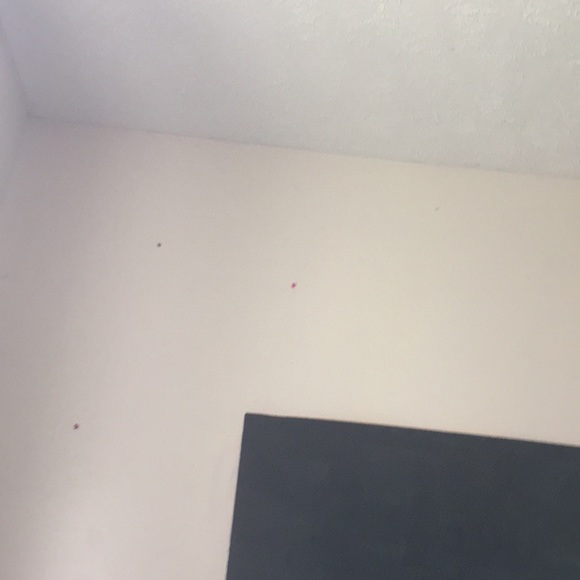 alex_vv288